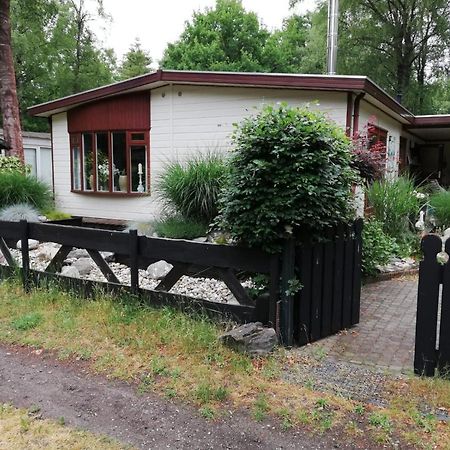 Diessen Sfeervol, Ruim En Luxe Chalet In Bosrijke Omgevingヴィラ エクステリア 写真