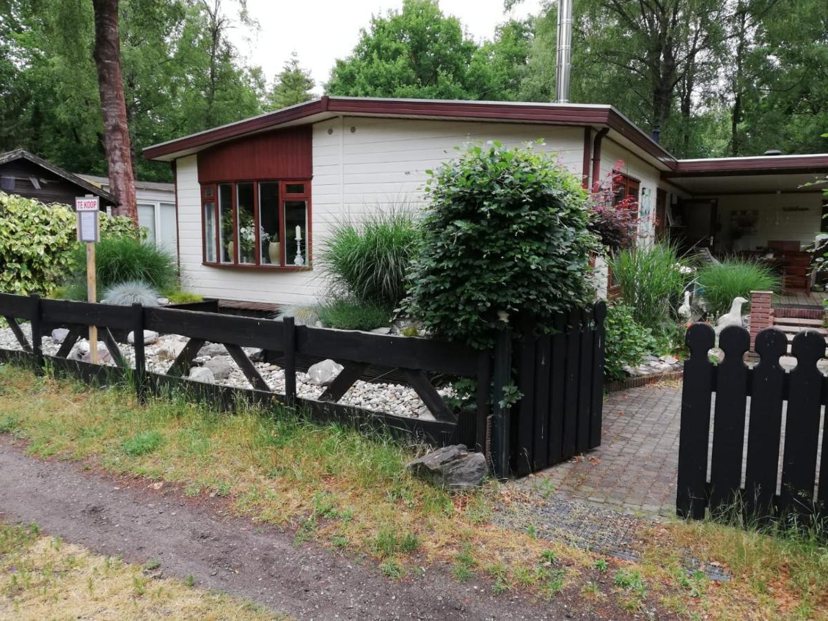 Diessen Sfeervol, Ruim En Luxe Chalet In Bosrijke Omgevingヴィラ エクステリア 写真